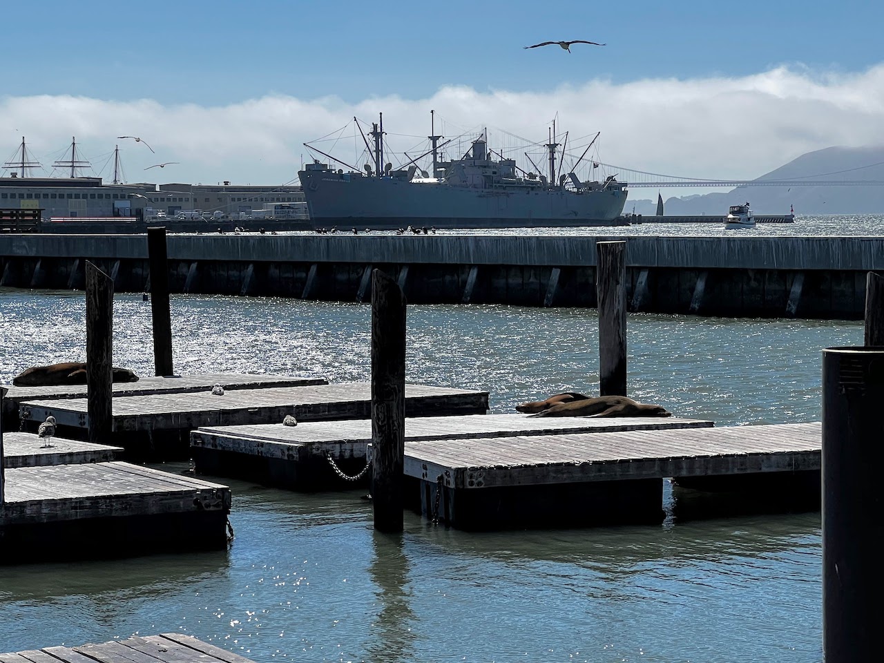 SFO seals